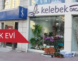 Kelebek Çiçek Evi - Organizasyon - Samsun Çiçekçilik - Aranjman - Gelin Arabası Süsleme