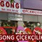 Gong Çiçekçilik-Samsun Çiçekçi-Samsun Gelin Arabası Süsleme